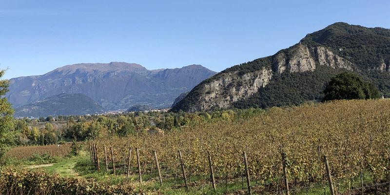Italienische Weinregionen