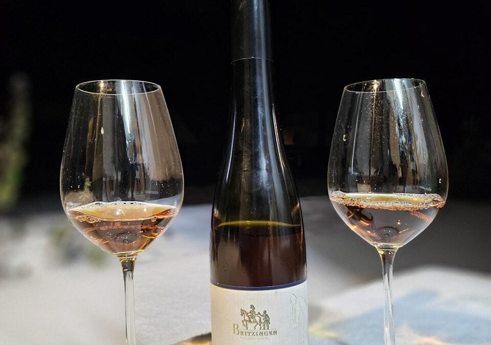 Rückblick: ZUKUNFTSWEINE auf der Hohen Bracht 🍷🌱