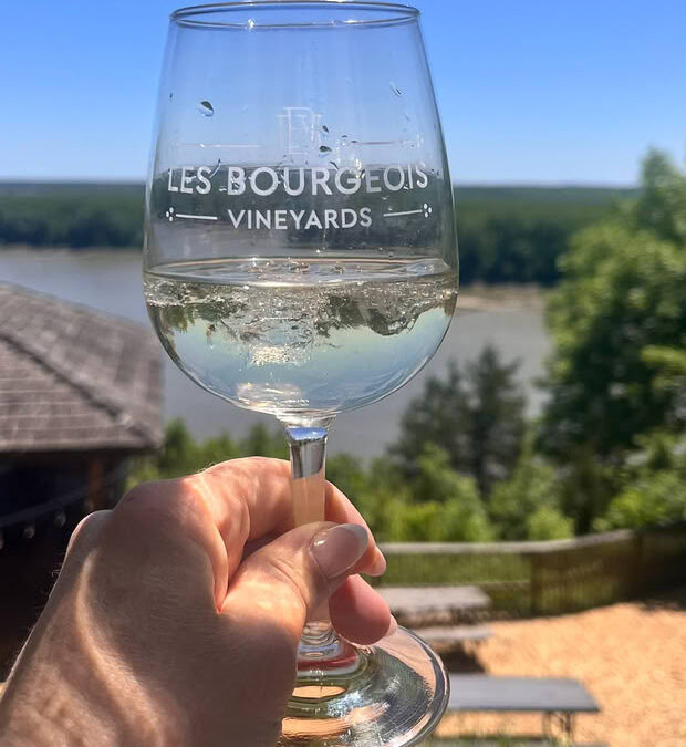 Wein über dem Missouri – Ein spontaner Besuch bei Les Bourgeois Vineyards, United States